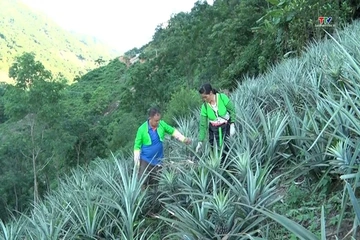 Mùa mới trên bản Mông
