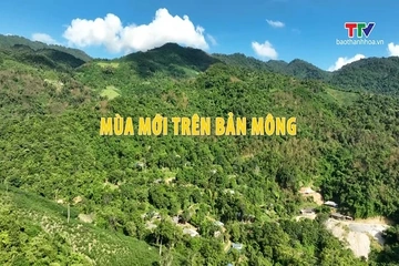 Ký sự miền sơn cước ngày 24/7/2026