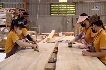 Bộ Tài chính phân loại mức tuân thủ thuế theo dữ liệu