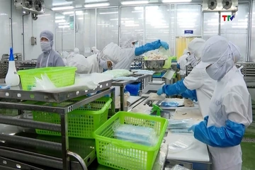 Khơi thông nguồn nguyên liệu cho xuất khẩu thủy sản