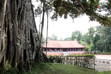Lam Kinh - Điểm du lịch tâm linh không thể bỏ qua khi về với Thanh Hóa
