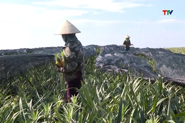 Hiệu quả nguồn vốn Quỹ Hỗ trợ nông dân