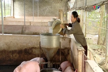 Việt Nam mở rộng cơ hội đầu tư phát triển chăn nuôi bền vững