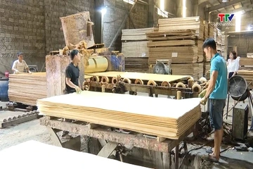 Xuất khẩu dăm gỗ gây áp lực lên chế biến sâu