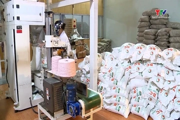 Xuất khẩu gạo đạt 5,3 triệu tấn, thu về hơn 2,5 tỷ USD