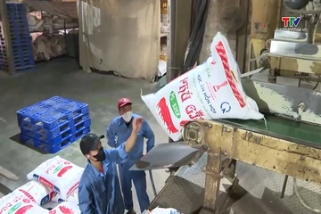 Đơn hàng khởi sắc, doanh nghiệp tăng tốc sản xuất kinh doanh