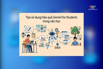 Việt Nam dẫn đầu Đông Nam Á về ứng dụng Gemini học tập