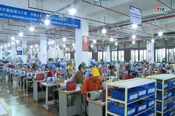 Doanh nghiệp Thanh Hóa chủ động ứng phó với phòng vệ thương mại