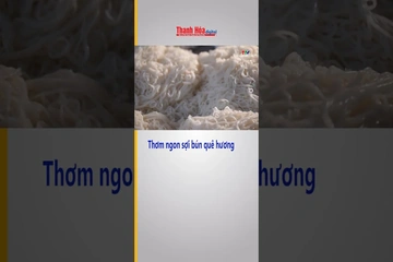 Thơm ngon sợi bún quê hương| Truyền hình Thanh Hóa