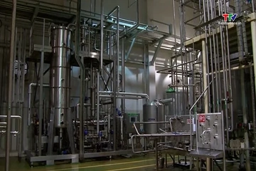 Việt Nam tận dụng cơ hội bứt phá giá trị cà phê từ chế biến sâu