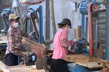 Ngành gỗ tái định vị thị trường nội địa thành trụ cột tăng trưởng
