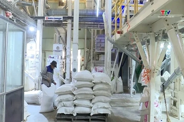 Việt Nam chi gần 1 tỉ USD nhập khẩu lúa gạo