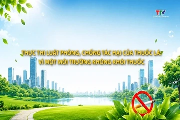 Phóng sự: Thực thi luật phòng, chống tác hại của thuốc lá