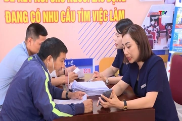 Dữ liệu số - Nền tảng dự báo thị trường lao động
