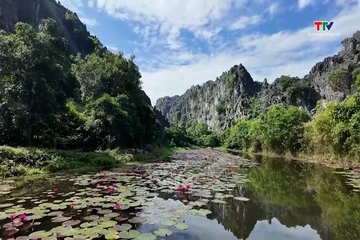 Suối Ấu - Chốn bồng lai tiên cảnh của xứ Thanh