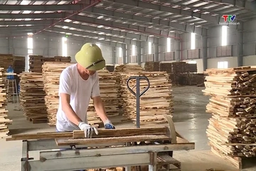 Ngành gỗ phấn đấu xuất khẩu vượt 19 tỷ trong năm 2026