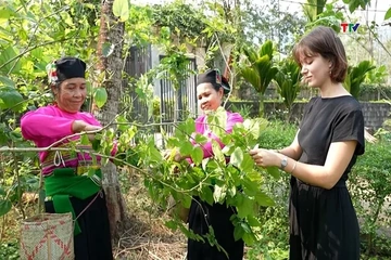 Làng Lập Thắng làm du lịch
