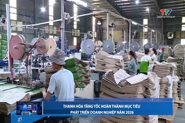 Bản tin Dòng chảy kinh tế ngày 12/8/2026