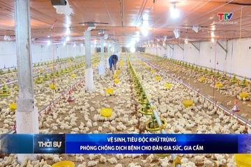 Bản tin Thời sự trưa 14/8/2026
