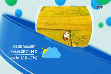 Dự báo thời tiết 19h ngày 14/8/2026