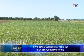 Bản tin Thời sự 14h ngày 15/8/2026