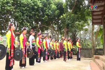 Lên non nghe tiếng đại ngàn