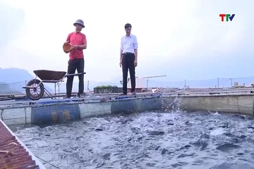Phát triển hơn 1.730 ô lồng nuôi cá trên hồ thủy lợi, thủy điện