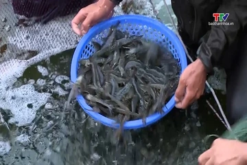Tổng sản lượng thủy sản đạt 58,4% kế hoạch năm