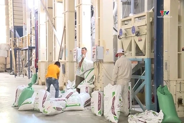 Việt Nam xuất khẩu 5,5 triệu tấn gạo trong 7 tháng