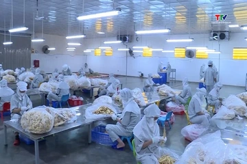Italia siết kiểm soát nông sản, thực phẩm và thủy sản Việt Nam