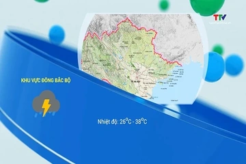 Bản tin cảnh báo thiên tai và thời tiết ngày 11/8/2026