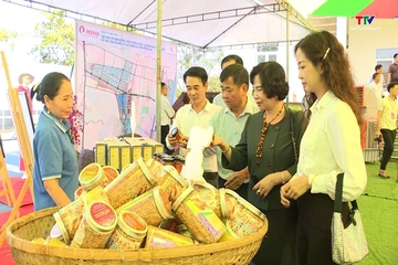 Kết nối giao thương, mở rộng không gian phát triển kinh tế ven biển