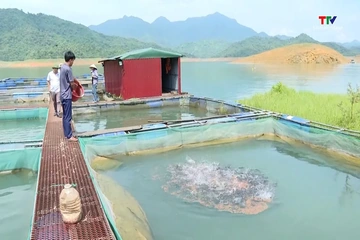 Bảo vệ thủy sản nuôi mùa mưa bão