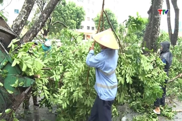 Phường Hạc Thành ra quân chỉnh trang đô thị