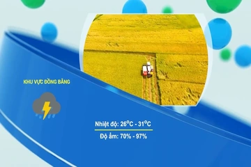 Dự báo thời tiết ngày 17/8/2026: Đêm và chiều tối vẫn có mưa rào và dông rải rác