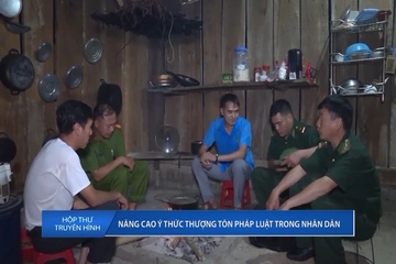 Hộp thư truyền hình ngày 17/8/2026