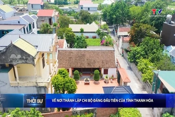 Bản tin Thời sự trưa 19/8/2026