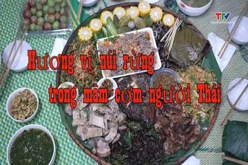 Sắc màu các dân tộc xứ Thanh: Hương vị núi rừng trong gian bếp người Thái
