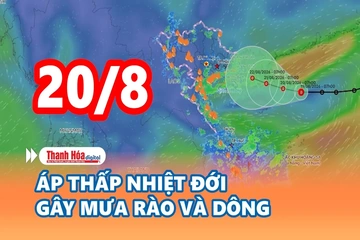 Cảnh báo thiên tai và thời tiết ngày 20/8/2026