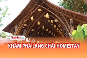 Bản tin Du lịch ngày 20/8/2026: Khám phá làng chài Homestay