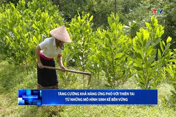 Thông tin đối ngoại ngày 20/8/2026