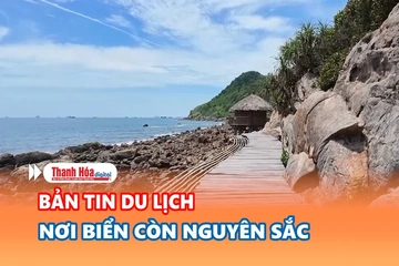 Bản tin Du lịch ngày 22/8/2026: Nơi biển còn nguyên sắc