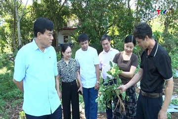 Kết quả hoạt động tín dụng chính sách xã hội trên địa bàn tỉnh