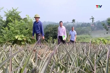 Vốn tín dụng tiếp sức giải quyết việc làm tại địa phương