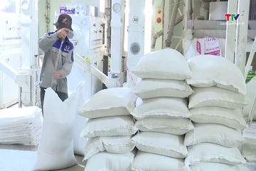 Nhiều nước tăng nhập gạo trước El Nino