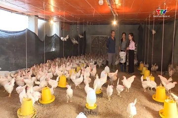 Hơn 478.000 khách hàng vay vốn phục vụ chương trình xây dựng nông thôn mới