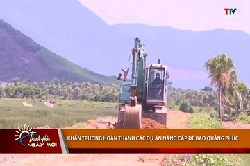Khẩn trương hoàn thành các dự án nâng cấp đê bao Quảng Phúc