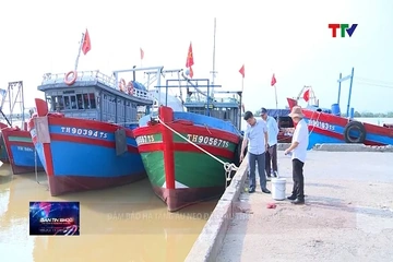 Đảm bảo hạ tầng âu neo đậu tàu thuyền mùa mưa bão