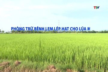 Khuyến nông ngày 18/8/2026