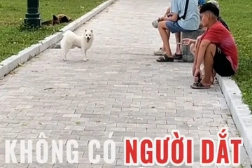 ĐI DẠO CÙNG “BOSS”, ĐỪNG QUÊN MANG THEO… TRÁCH NHIỆM!